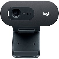 Веб-камера Logitech C505 HD (960-001372)