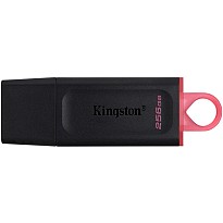 Флешка Kingston DataTraveler Exodia Black/Pink (DTX/256GB)