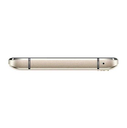 assistantas5412gold04-700x700