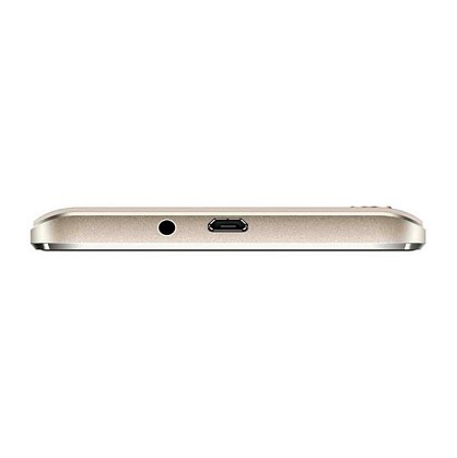 assistantas5412gold06-700x700