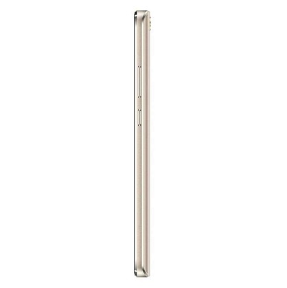 assistantas5412gold07-700x700
