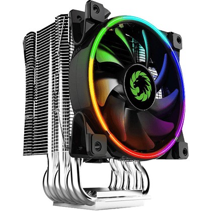 8099218