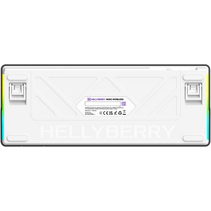 17590019