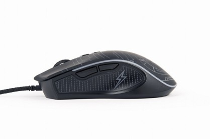 img (4)