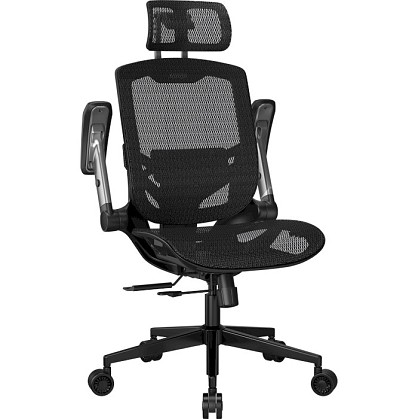 15502981