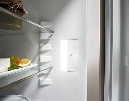 product-Vstraivaemiy-odnokamerniy-kholodilnik-Liebherr-URd-3700-Pure_f1f690d281a061c723e479736f70c7be