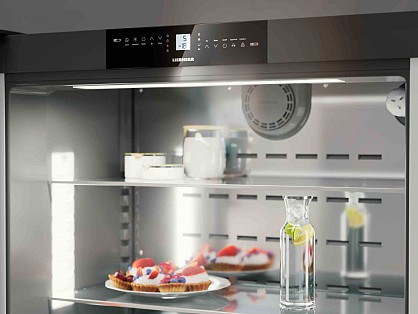product-Vstraivaemiy-dvukhkamerniy-kholodilnik-Liebherr-ECBNe-8870-Peak_b8b51be1f7d8f45c657500d1f220618e