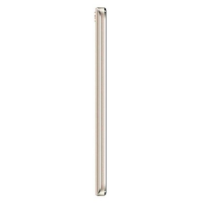 assistantas5412gold08-700x700