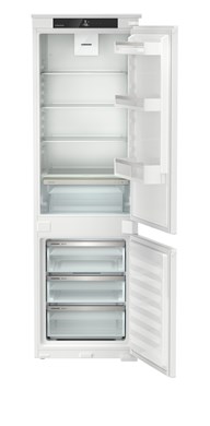 ICNSf 5103 (1)