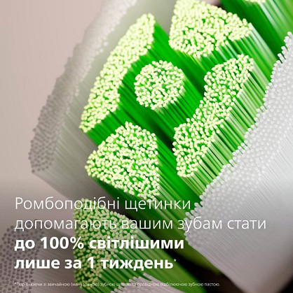 16513687