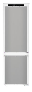 ICNSe 5103
