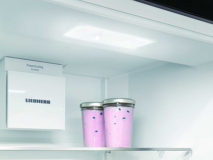 product-Vstraivaemiy-dvukhkamerniy-kholodilnik-Liebherr_60949886145b0eddf7e764c3594091f7