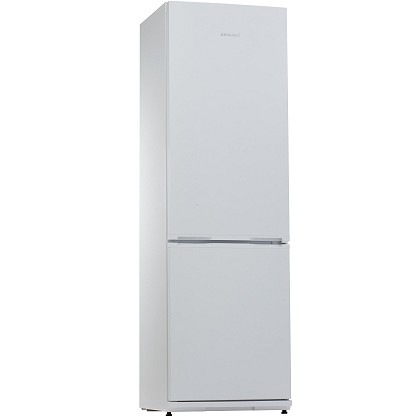 Холодильник Snaige RF36SM-S0002E
