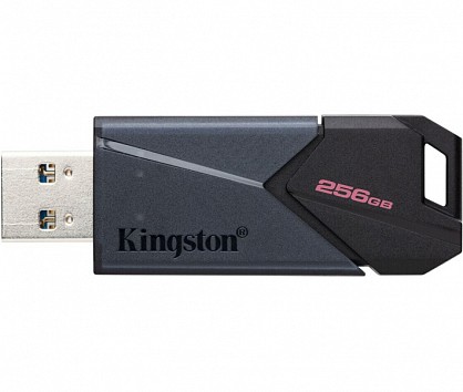 Флешка Kingston DataTraveler Exodia Onyx 256 ГБ USB 3.2 Gen 1 Black