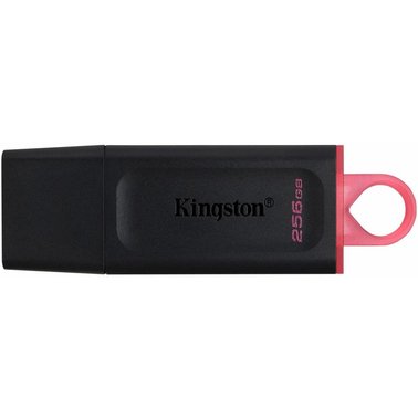 Флешка Kingston DataTraveler Exodia 256GB USB 3.2 Gen 1 Black/Pink (DTX/256GB)