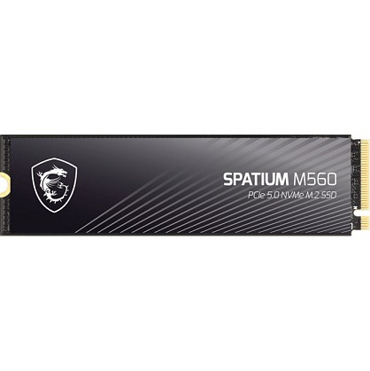 SSD диск MSI Spatium M560 1 TB (S78-440L0F0-P83)