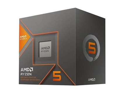 Процесор AMD Ryzen 5 5600G (100-100000252BOX)